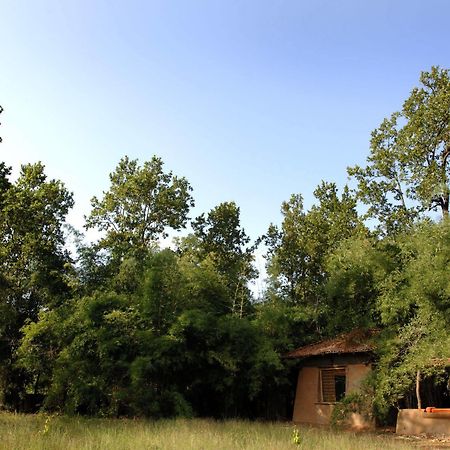 Mahua Kothi, Bandhavgarh National Park Hotel Tāla Екстериор снимка
