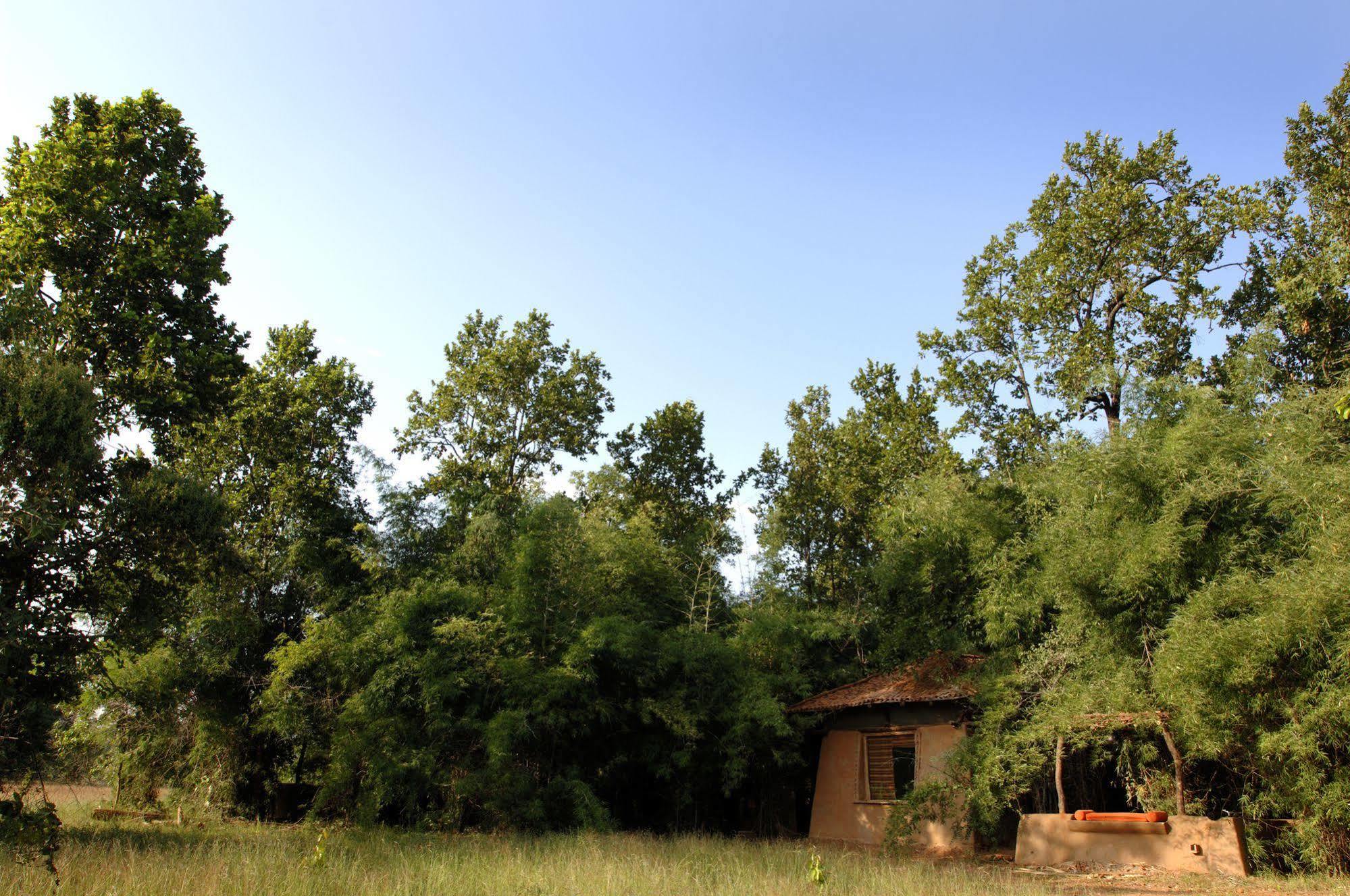 Mahua Kothi, Bandhavgarh National Park Hotel Tāla Екстериор снимка
